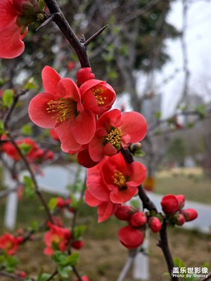 春天来了，万物复苏