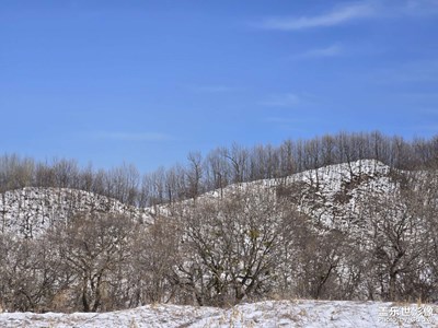 【好春光】+万遇见春雪