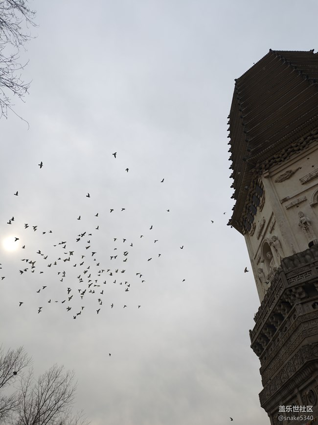 【時間在此刻靜止】+静