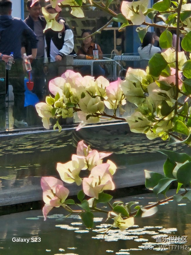 【活动回顾】周末时光