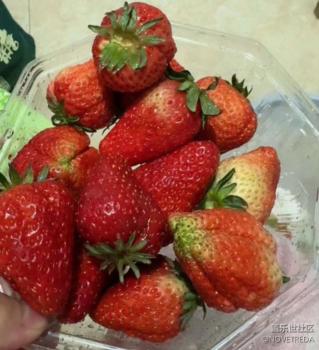 【最美食刻】草莓