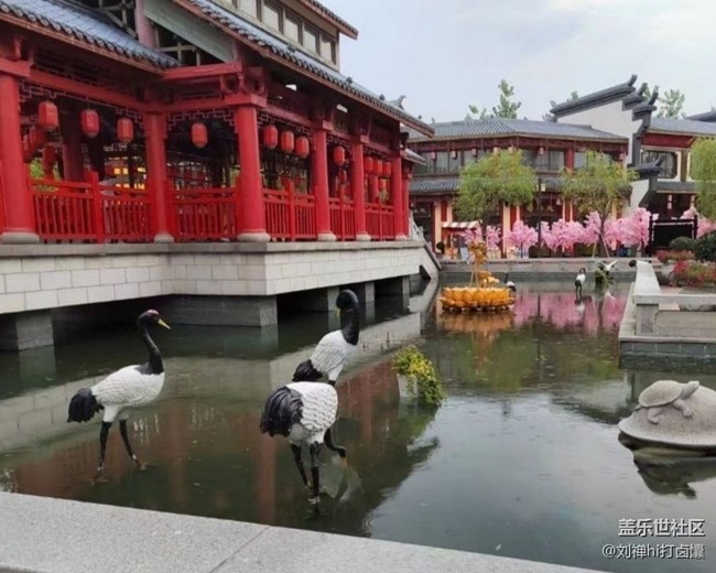 【约定3月的旅行】看风景