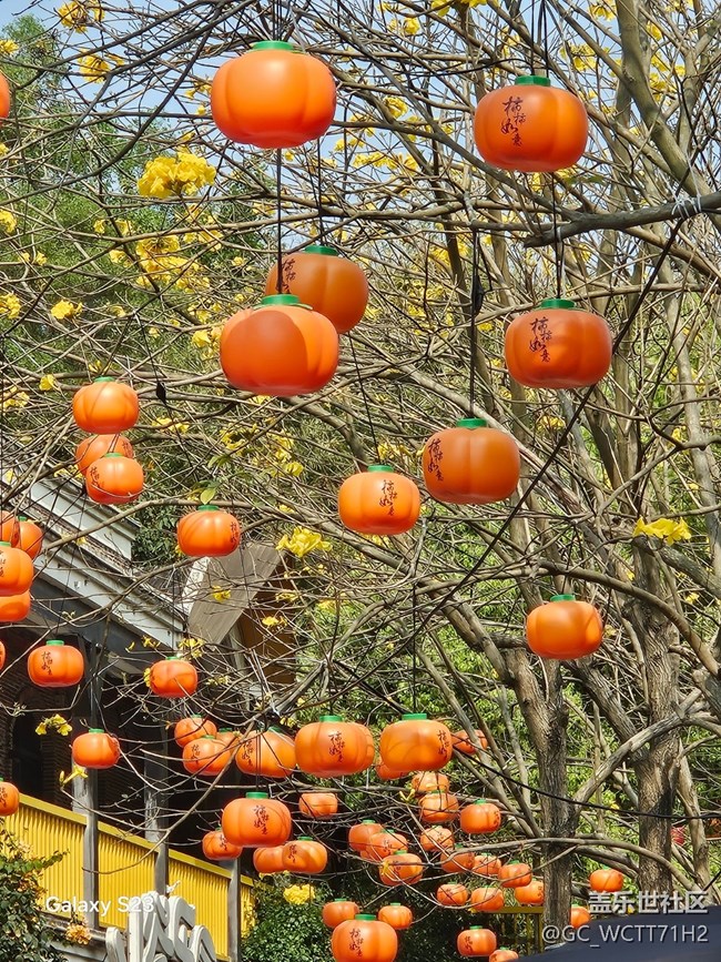 【活动回顾】周末时光