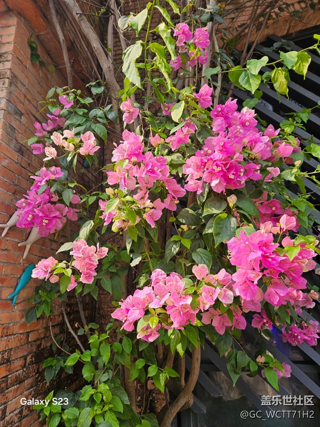 【活动回顾】周末时光