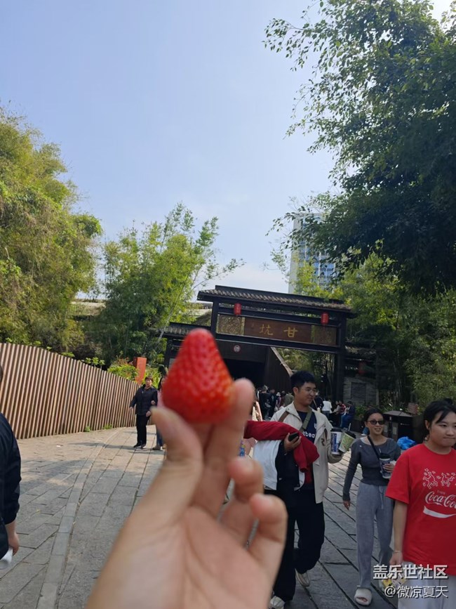 【活动回顾】古镇的三角梅