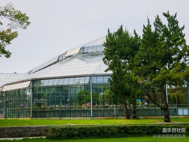 【花开盛宴】武汉星部落活动总结帖