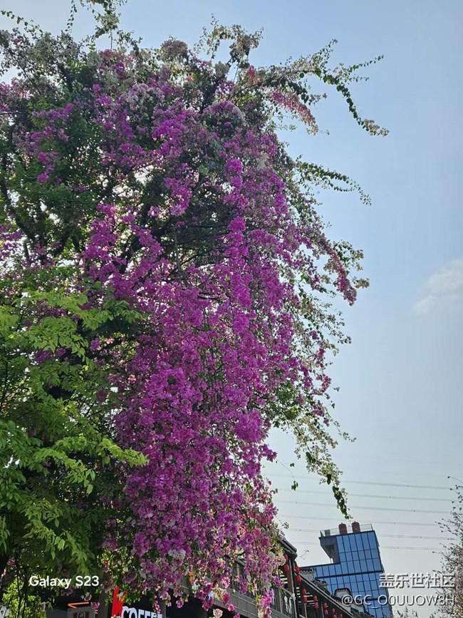 【活动回顾】甘坑古镇