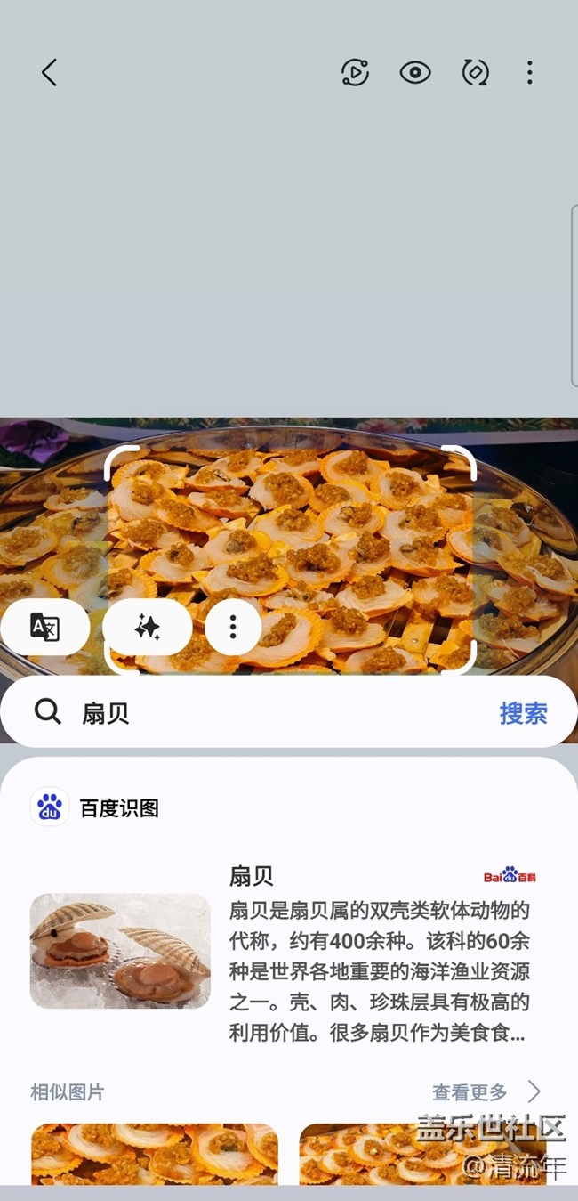 【我最喜欢/期待的Galaxy AI功能】百科全书即圈即搜