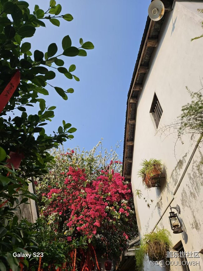 【活动回顾】甘坑古镇