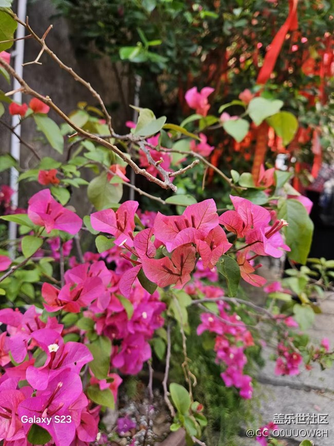 【活动回顾】甘坑古镇