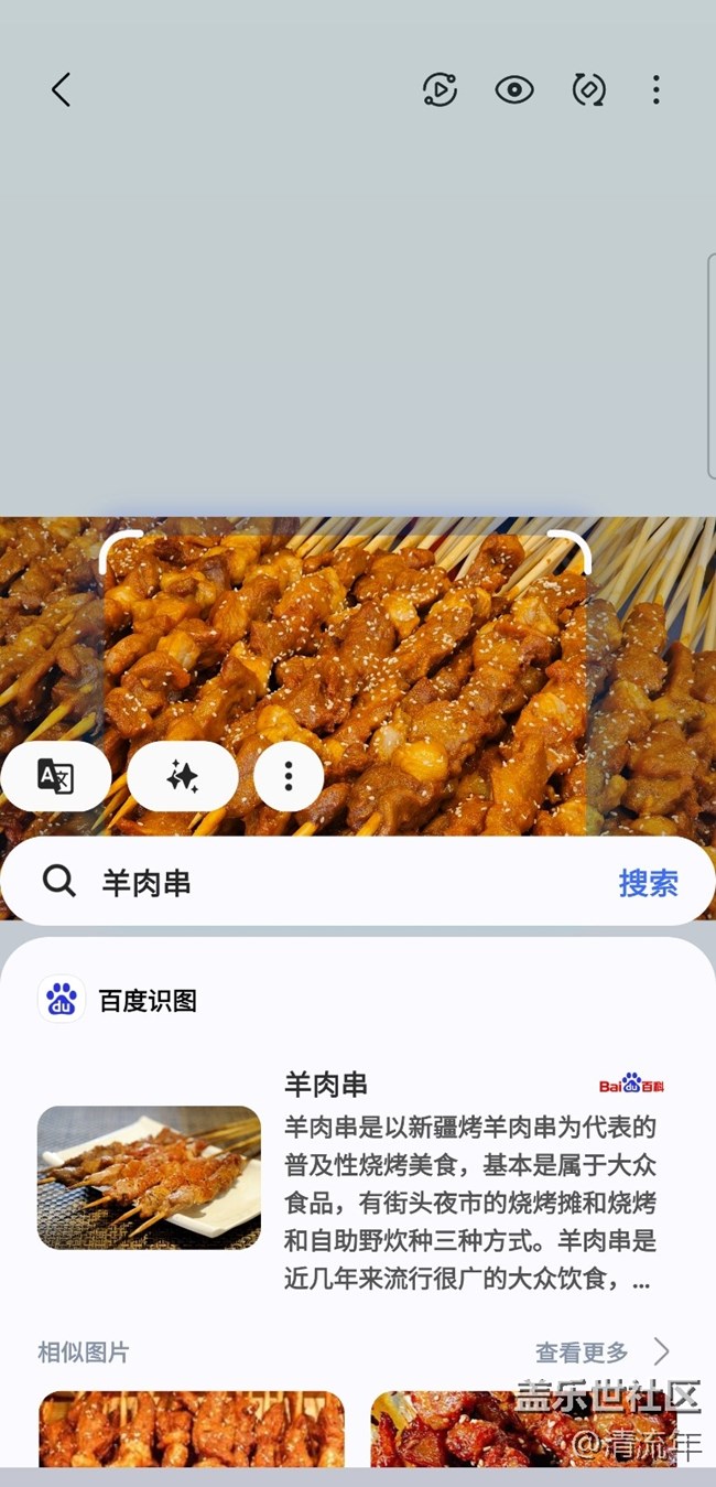 【我最喜欢/期待的Galaxy AI功能】百科全书即圈即搜