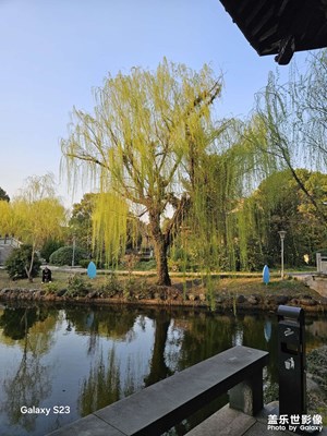 【好春光】公园里的花草树木