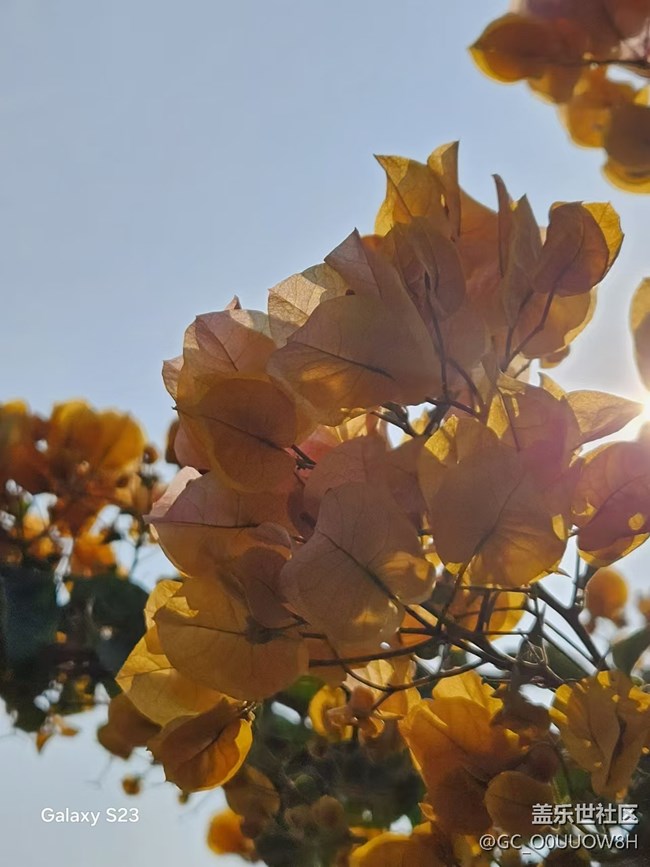 【活动回顾】甘坑古镇