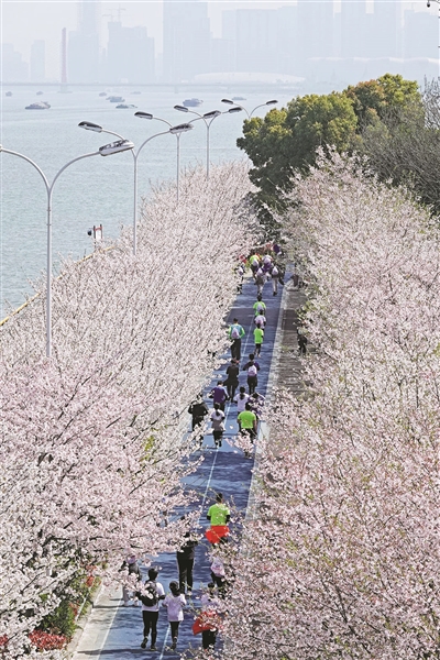 【线下活动招募啦！】3.30跟着星部落，一起在西子湖畔和春天有个约会！