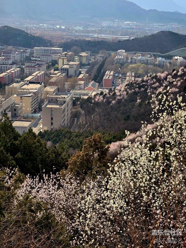 【春风十里】登山看风景
