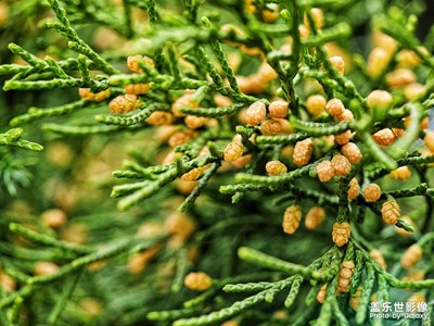【拍有细节】+春分时节
