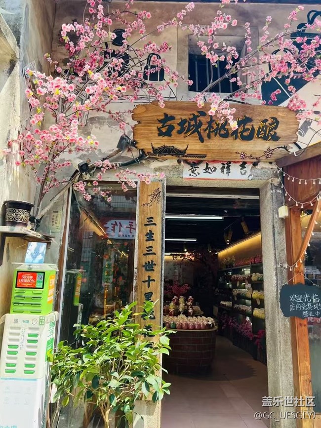 【春花浪漫】花绽古巷，诗意闲行
