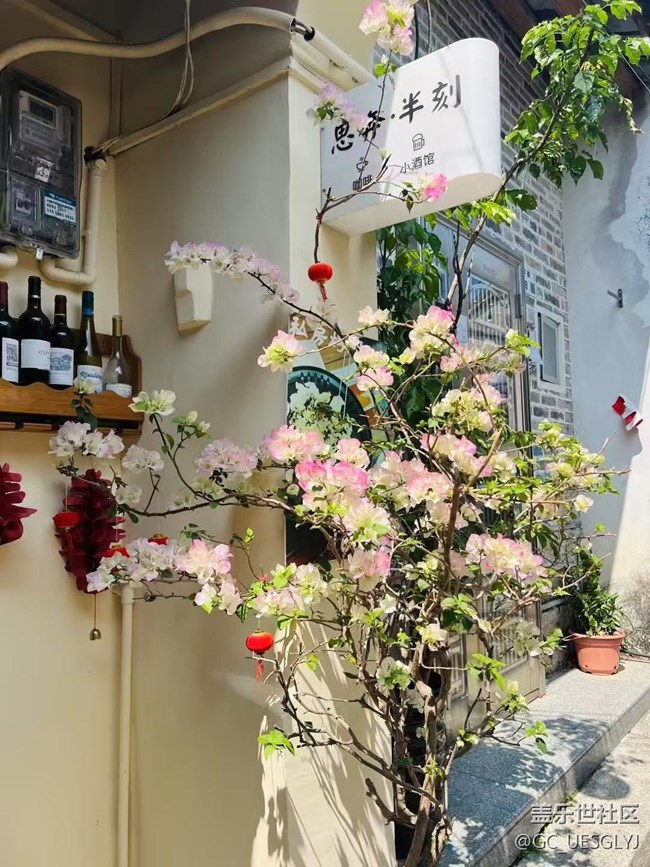 【春花浪漫】花绽古巷，诗意闲行