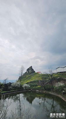 阳春三月