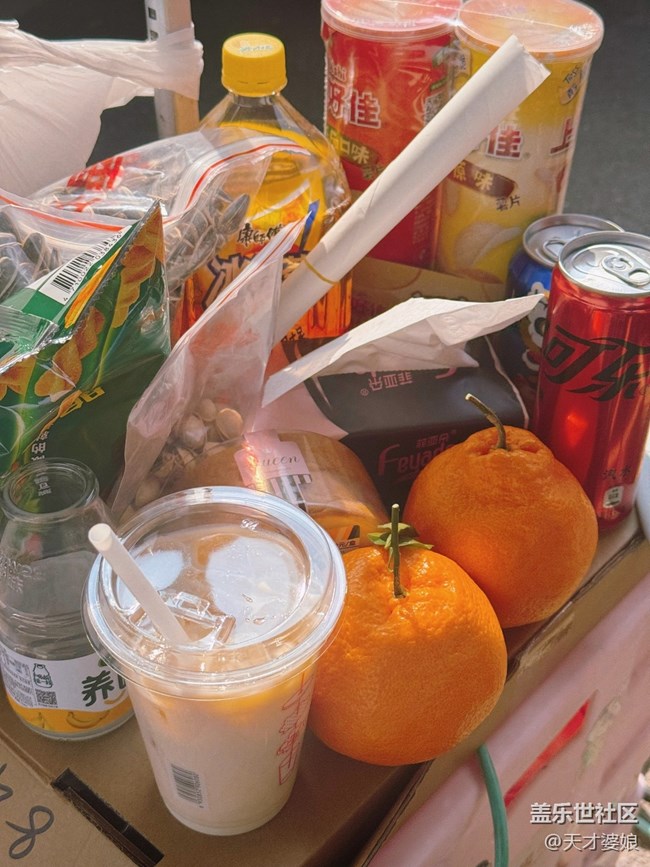 【春天的第一次野餐】春日野餐