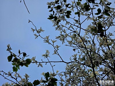 春暖花開