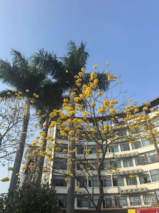 【時間在此刻靜止】烟雨江南，古韵寻踪