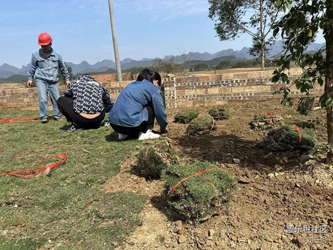 【時間在此刻靜止】春日植绿，邂逅花开