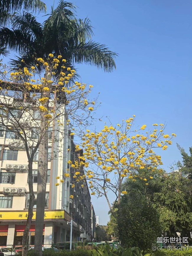 【時間在此刻靜止】烟雨江南，古韵寻踪