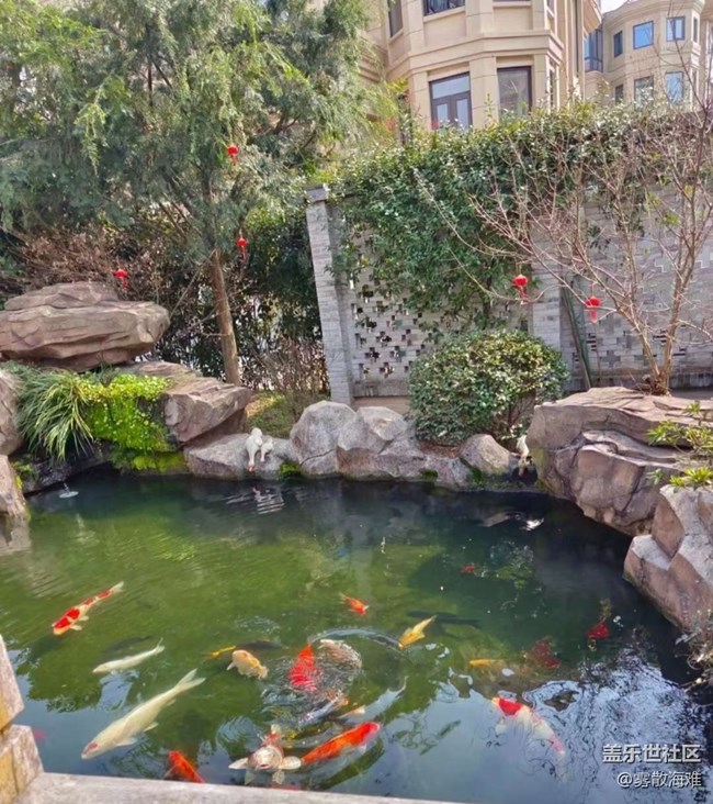 【约定3月的旅行】春日美景