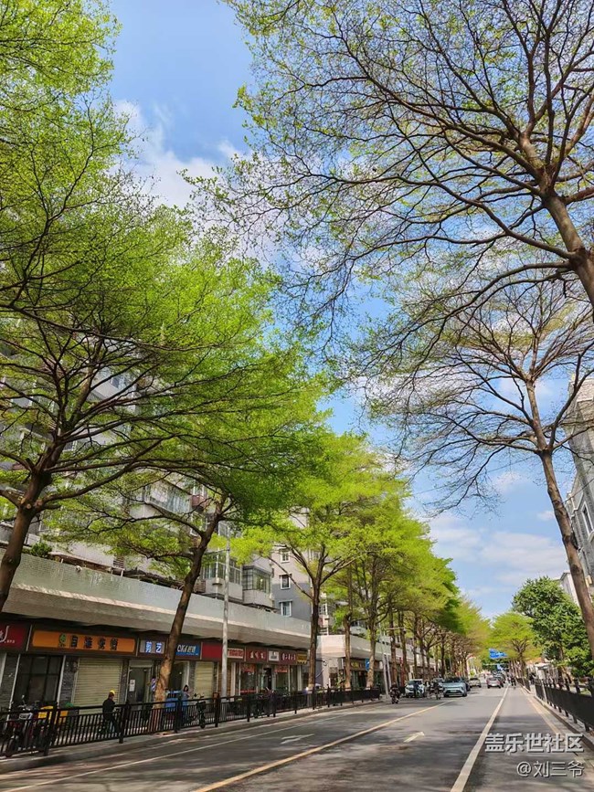 【城市苏醒】+邂逅春日浪漫