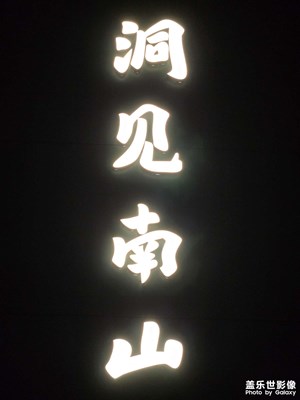 【春之夜】春夜的光影