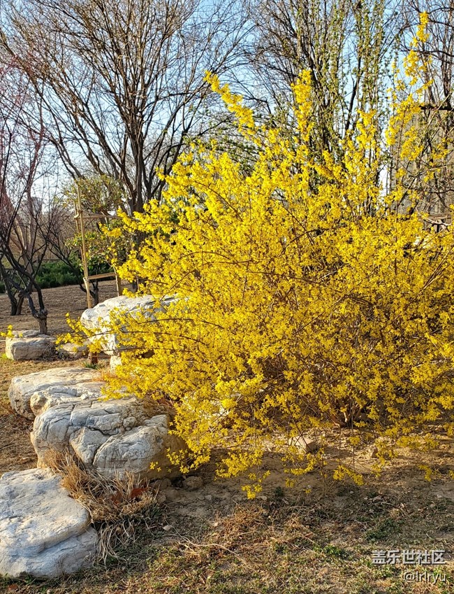 #烟花三月——花儿初开