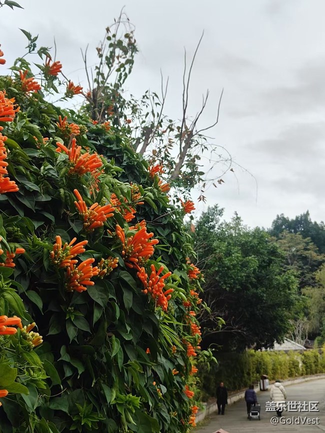 【城市苏醒】福州漫记，与古城的邂逅