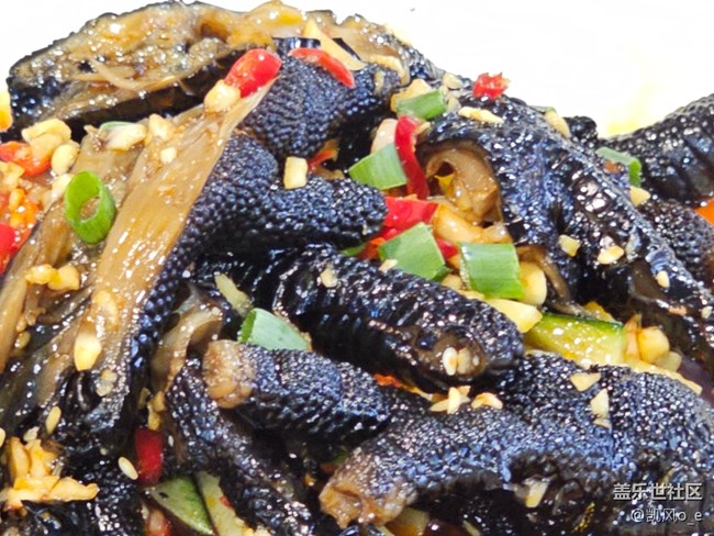 【活动回顾】深圳星部落线下摄影活动回顾贴