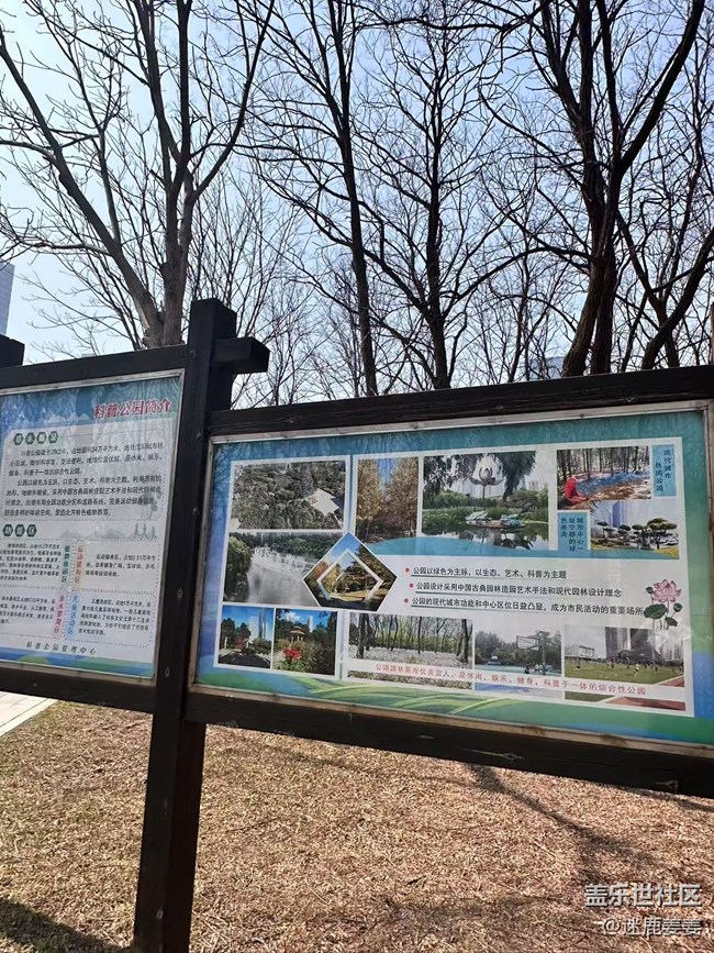 【青青嫩芽】万物复苏逛公园