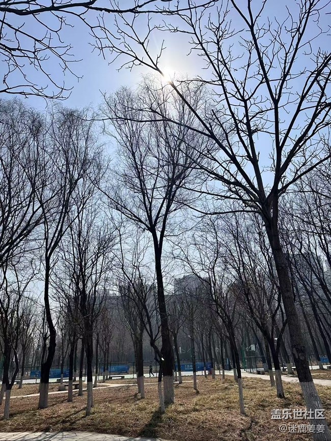 【青青嫩芽】万物复苏逛公园