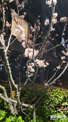 夜景