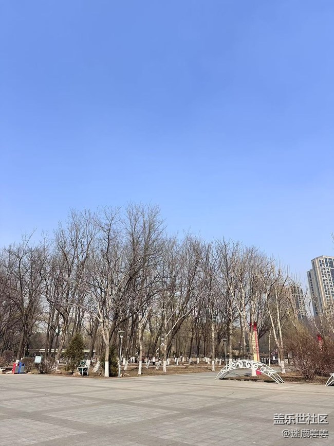 【青青嫩芽】万物复苏逛公园