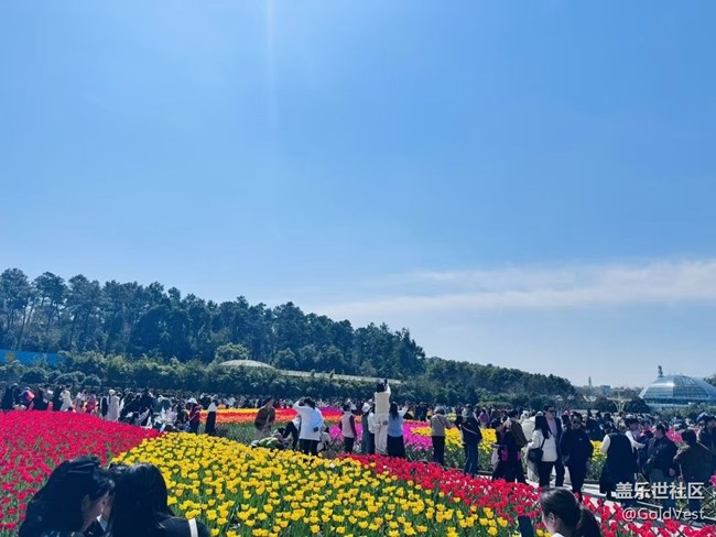 【早春物语】园博苑·郁金香物语