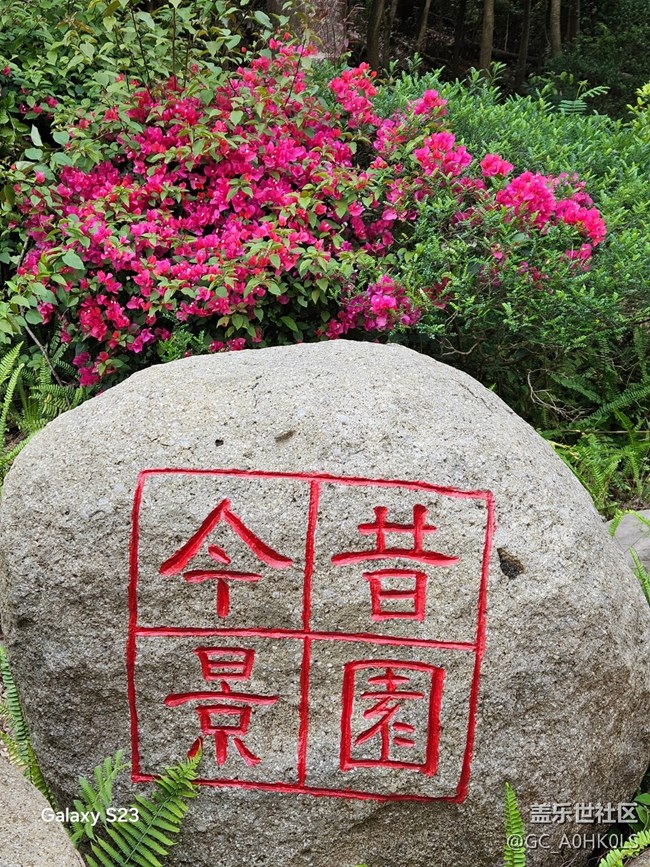 【活动回顾】园博园