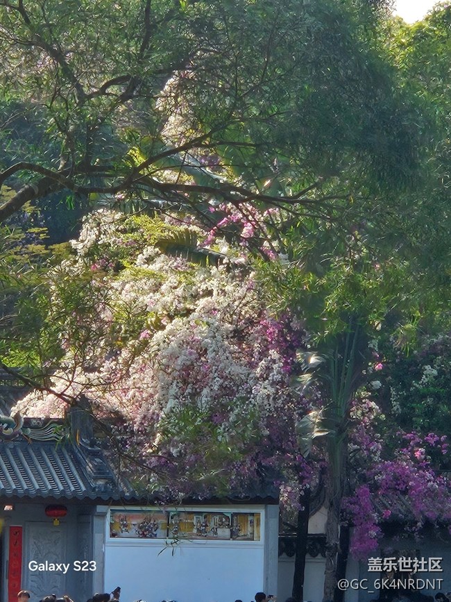 【活动回顾】园博园之行