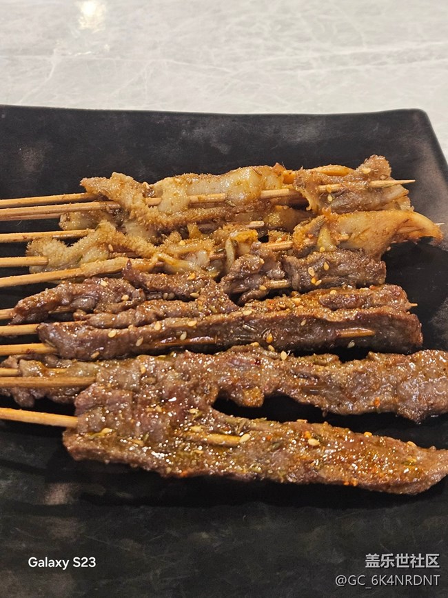 【活动回顾】园博园之行