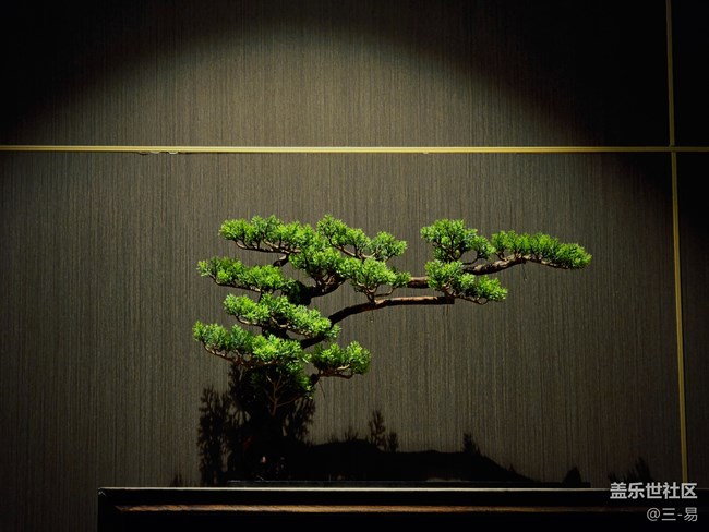 【時間在此刻靜止】留住美好