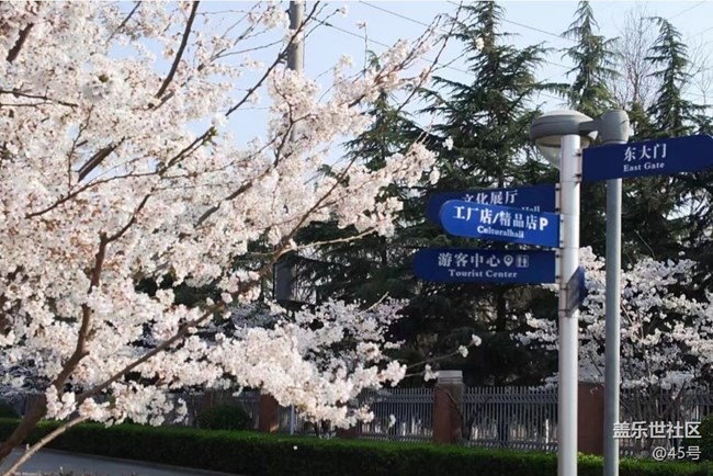 【春日踏青季】故地重游