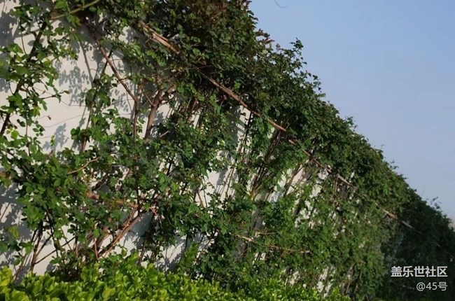 【春日踏青季】故地重游