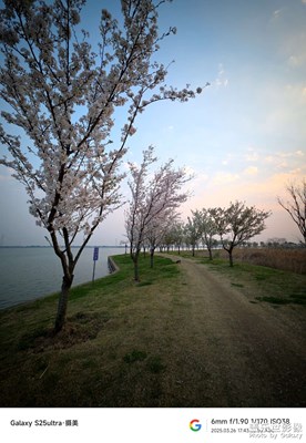 春上鹅湖堤
