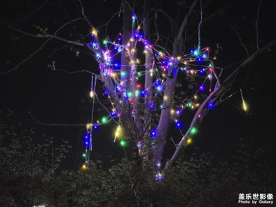 【春之夜】+小区夜晚装饰