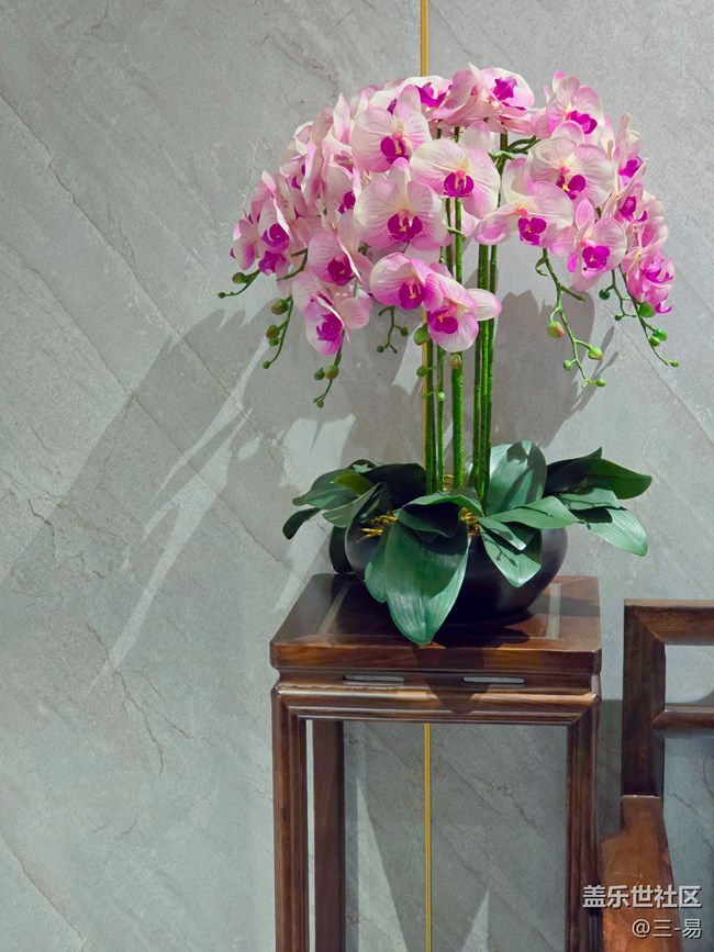 【時間在此刻靜止】留住美好