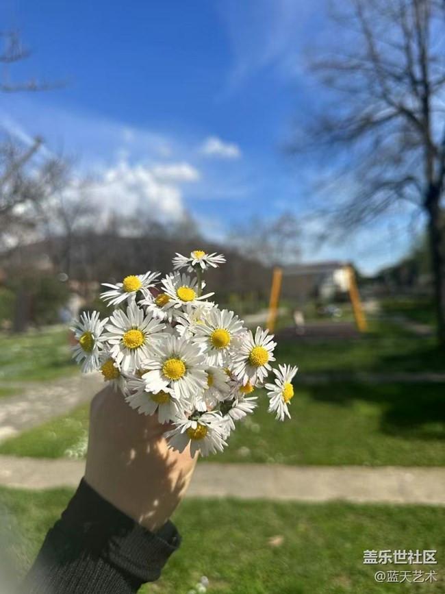 【春日寻花】赏花