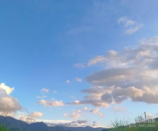 【春日踏青季】骑行